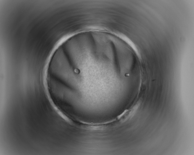 X0000086931381200705141734