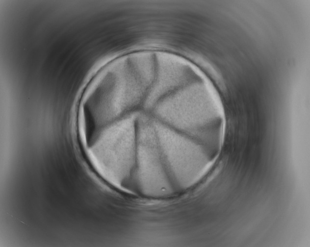 X0000086931382200705141734