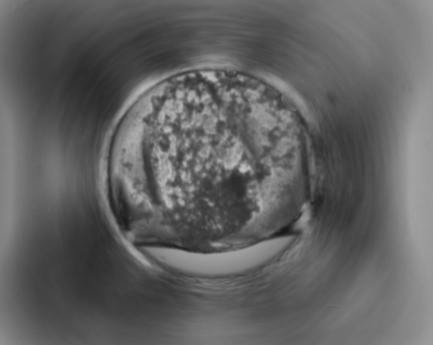 X0000086931383200705141734