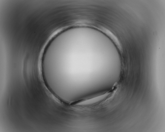 X0000086931384200705141733