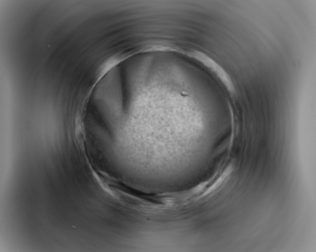 X0000086931385200705141733