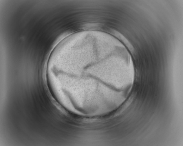 X0000086931386200705141733