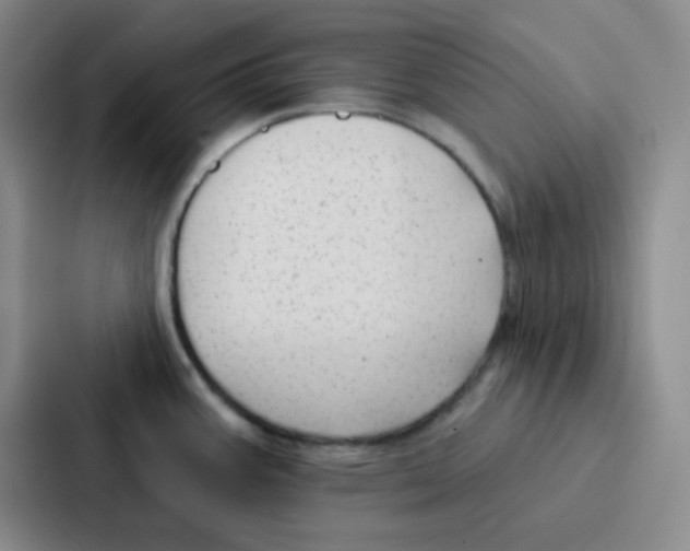 X0000086931387200705141733