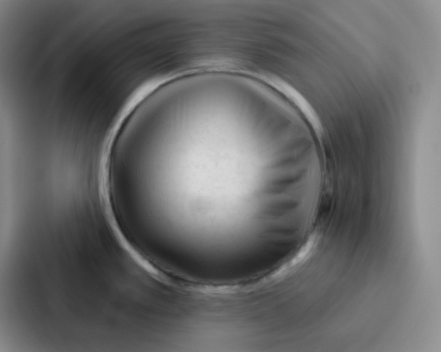 X0000086931389200705141733