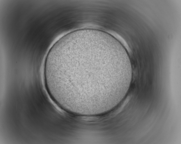 X0000086931391200705141733