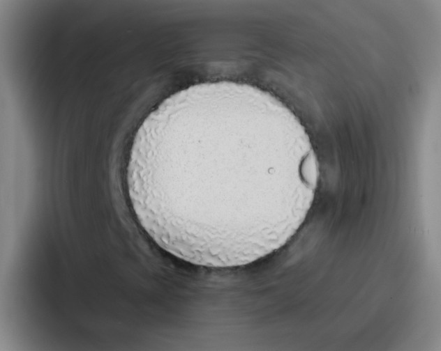 X0000086931393200705141733