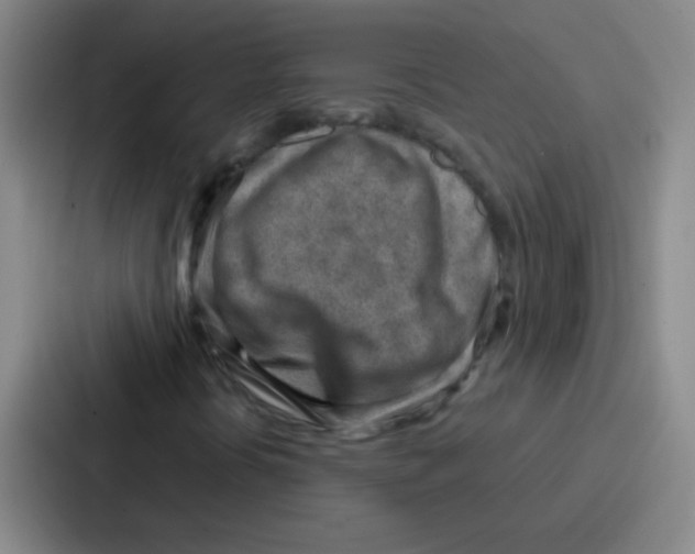 X0000086931394200705141733