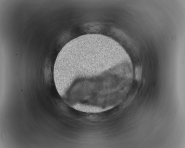 X0000086931395200705141733