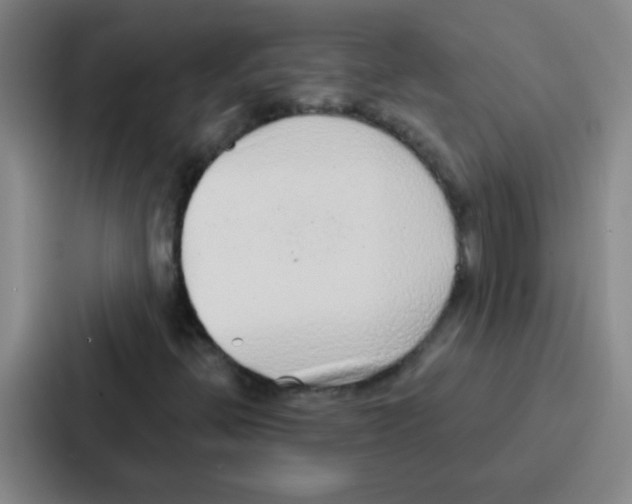 X0000086931396200705141733