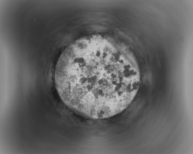 X0000086931397200705141733