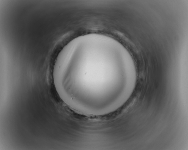 X0000086931398200705141733