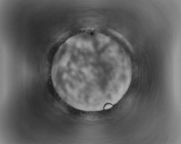 X0000086931399200705141733