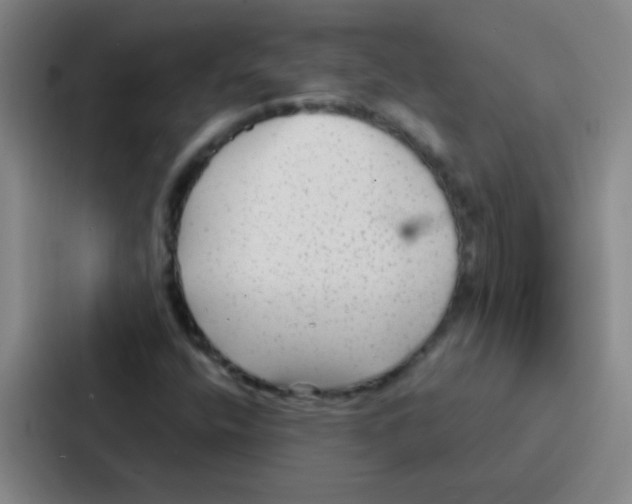 X0000086931400200705141733