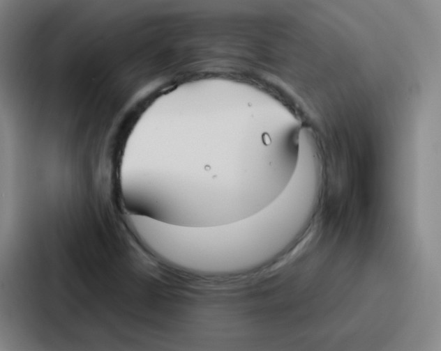 X0000086931402200705141733