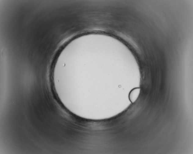 X0000086931404200705141733