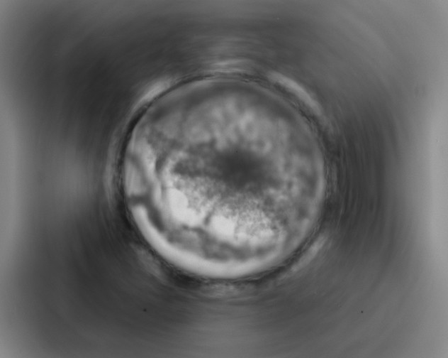 X0000086931405200705141733