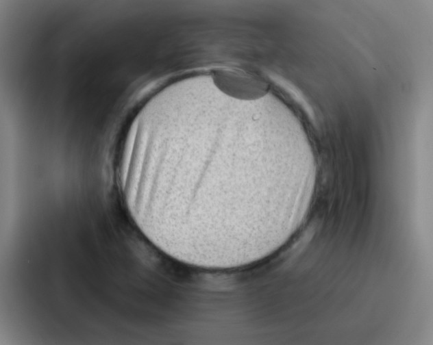 X0000086931407200705141733