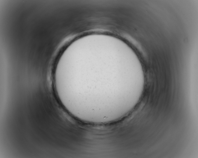 X0000086931408200705141733