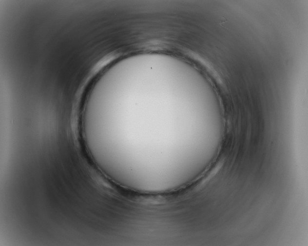 X0000086931410200705141733