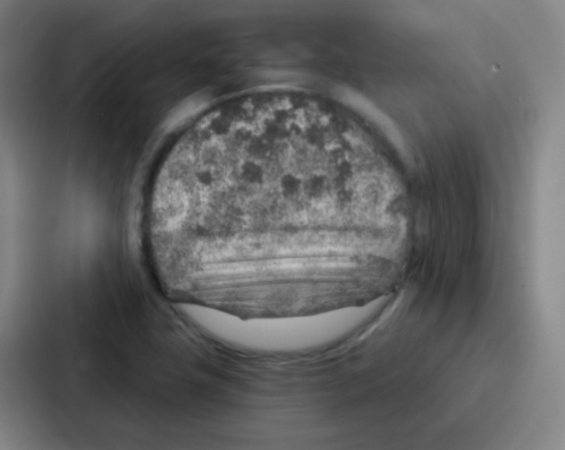 X0000086931411200705141733