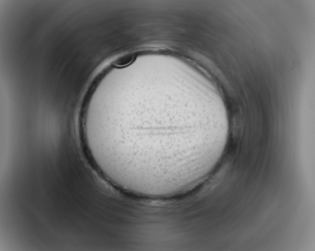 X0000086931412200705141733