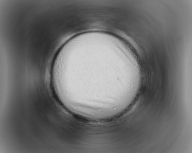 X0000086931415200705141733