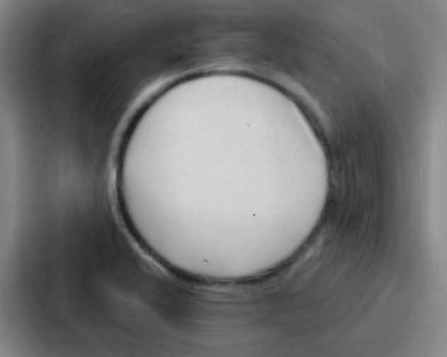 X0000086931416200705141733