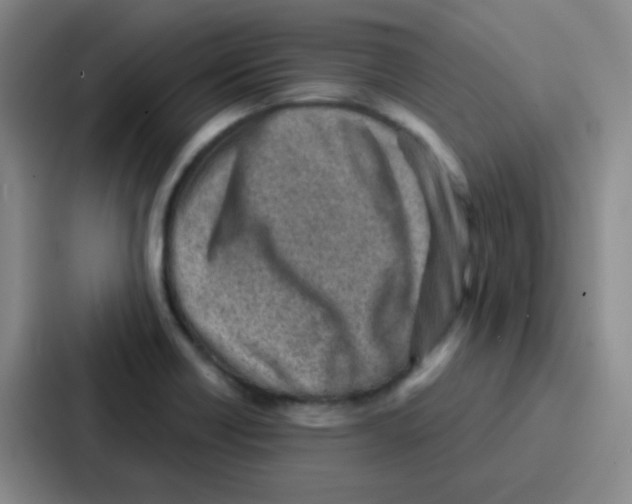 X0000086931418200705141733