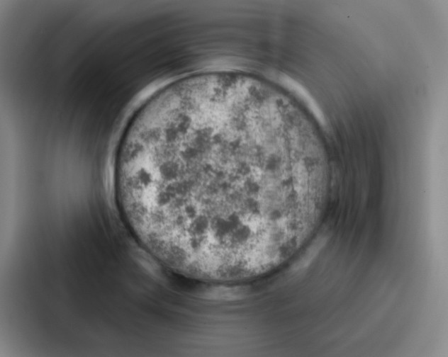 X0000086931419200705141733