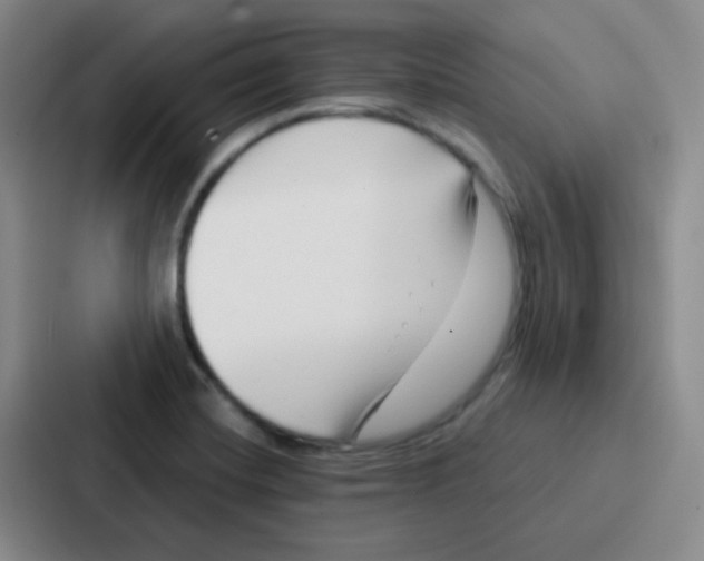 X0000086931420200705141733