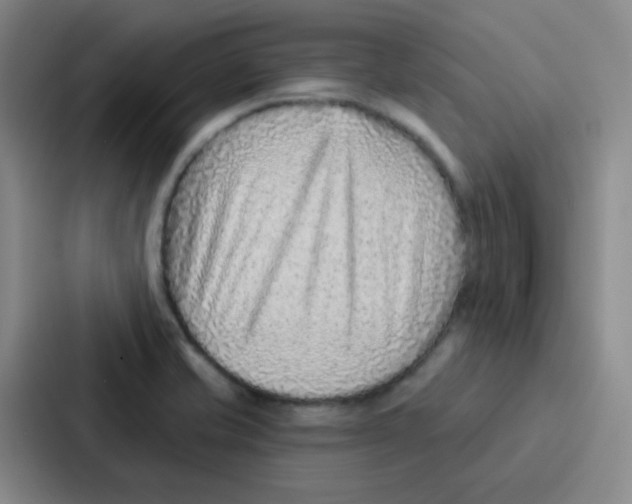 X0000086931421200705141733