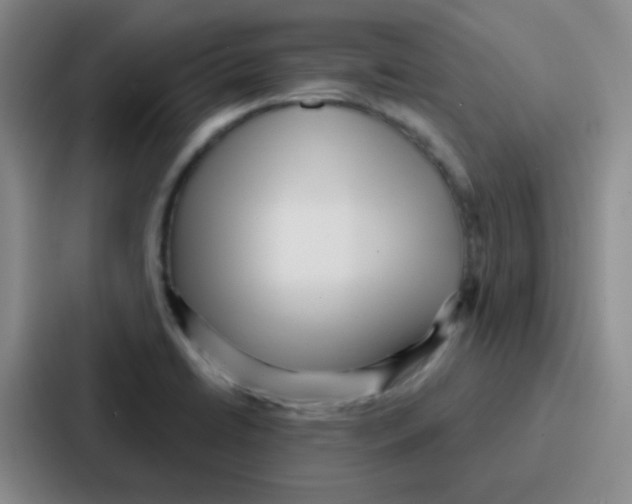 X0000086931422200705141733