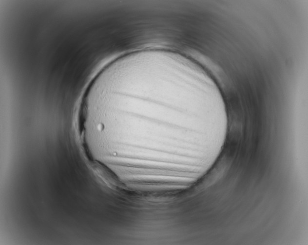 X0000086931423200705141733