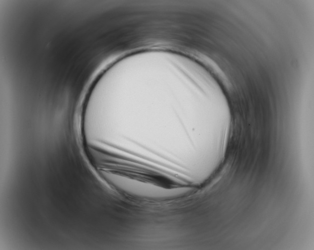 X0000086931424200705141733