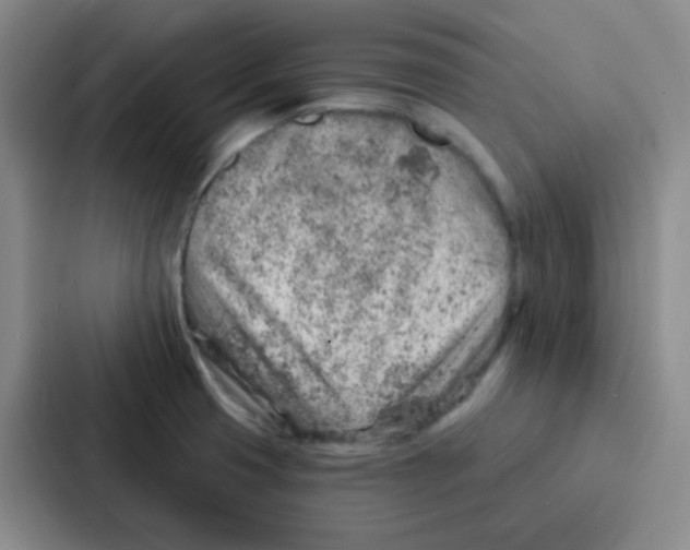 X0000086931425200705141733