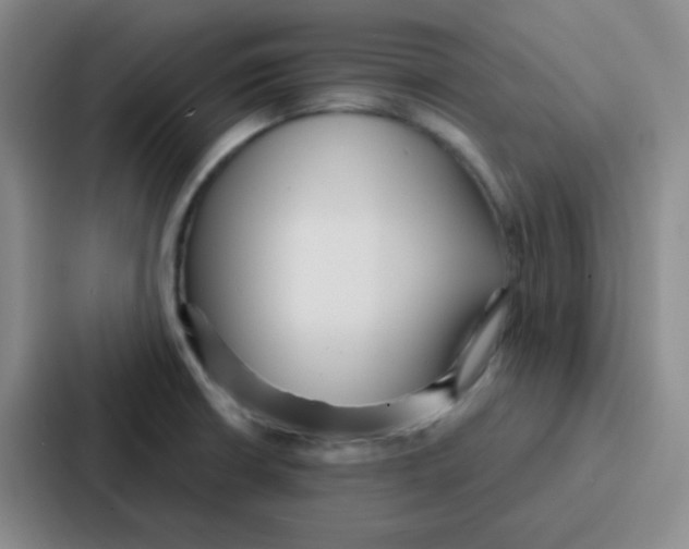 X0000086931426200705141733