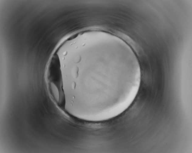 X0000086931428200705141733