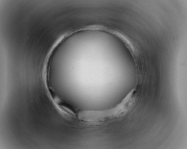 X0000086931430200705141733