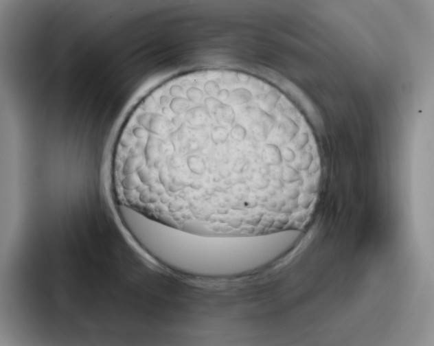 X0000086931432200705141733