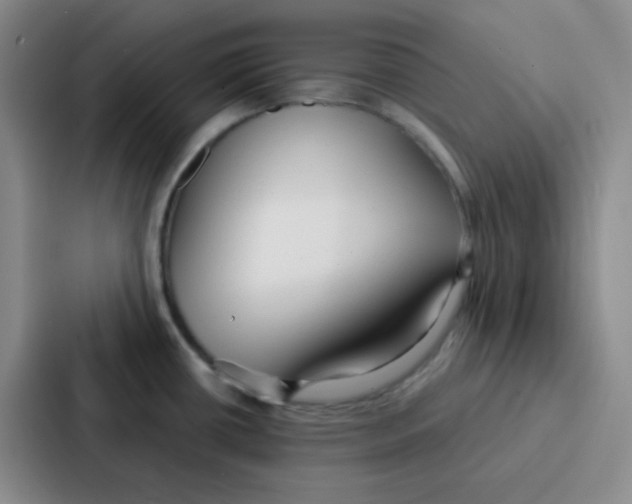 X0000086931434200705141733