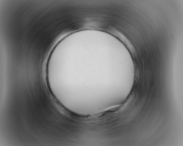 X0000086931435200705141733