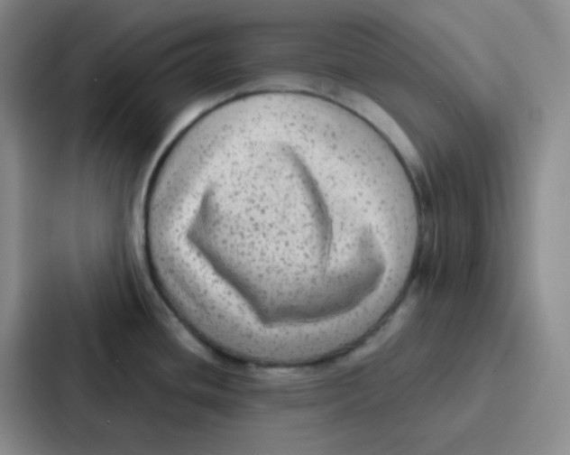 X0000086931436200705141733