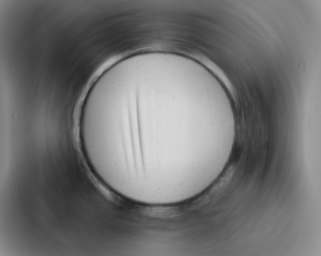 X0000086931437200705141733