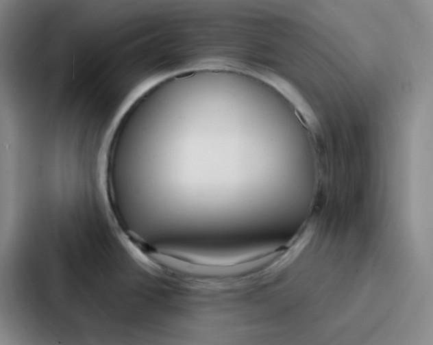 X0000086931438200705141733