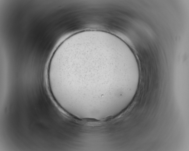 X0000086931440200705141733