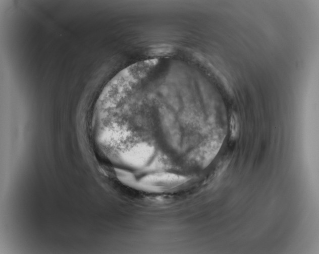 X0000086931441200705141733