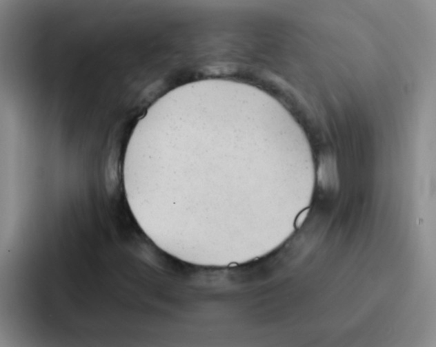 X0000086931444200705141733