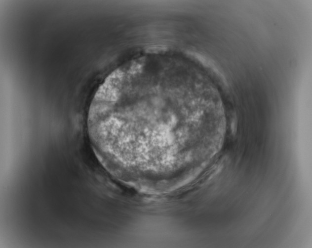 X0000086931445200705141733