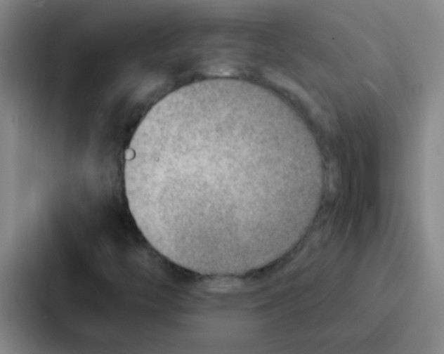 X0000086931446200705141733