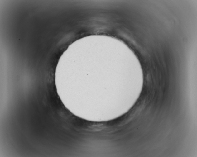 X0000086931447200705141733